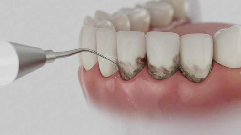 Reliable Dental contractor in Thompson, ND by Dentist Open Now
